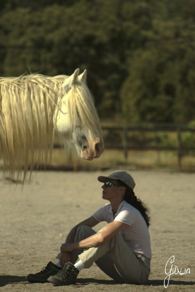 Stage Découverte de l’I.F.S avec les chevaux « Oser poser des limites saines et s’ancrer dans la sécurité relationnelle »